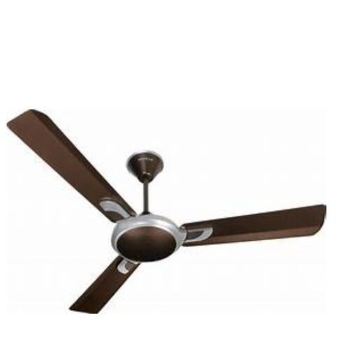 Home Fan - Color: Any