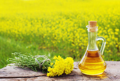 Mustard Oil - Grade: Na