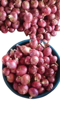 Red Onion - 50 kg Net Bag 40 mm A Grade Organic Human Consumption Shelf Life Over 3 Months Chopped For Cooking