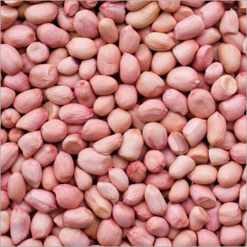 ground nut