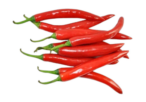 A Grade Fresh Red Chilli