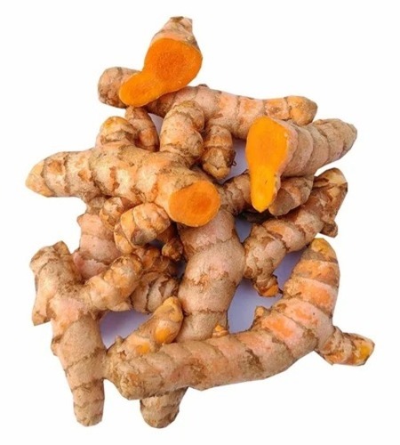 Fresh Turmeric Finger - Double Polished Curcumin 3.6%, 3 Inch Length, Yellow Color | Medicinal Grade, Loose Packing, Store in Cool and Dry Place