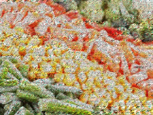 Frozen food