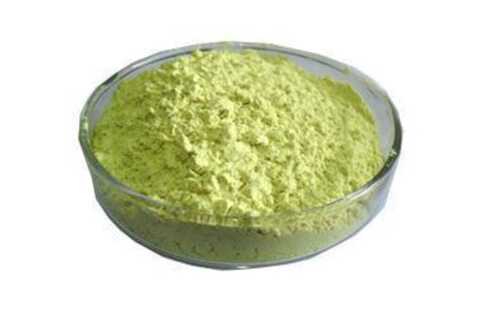 Premium Natural Green Tea Extract