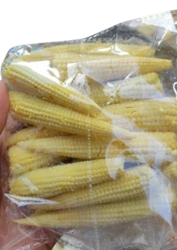 Baby Corn - A Grade, Fresh Yellow Variety | 100% Purity, Organic Option in Gunny Bag, 6-7 Days Shelf Life