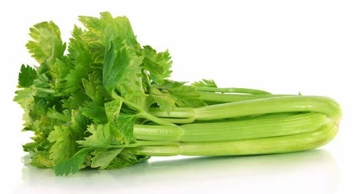 Celery - Carton Packed 5 Kg B Grade Chopped Variety, Chinese Cabbage & Broccoli | Common Shape, Cooked Style