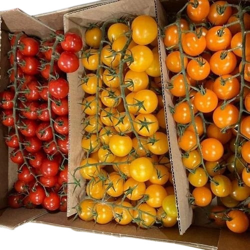 Cherry Tomato - 20 Kg A Grade Fresh Red Carton Pack | Chopped, Common Shape, Cooked Style