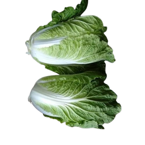 Chinese Cabbage