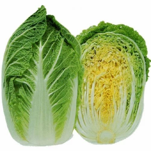 Chinese Cabbage