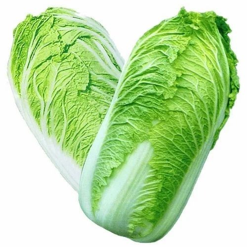 Fresh Green Chinese Cabbage - A Grade, 2 Week Shelf Life | Chopped, Common Shape, Potassium 87 Mg, Protein 1.1 G, Cooked Style
