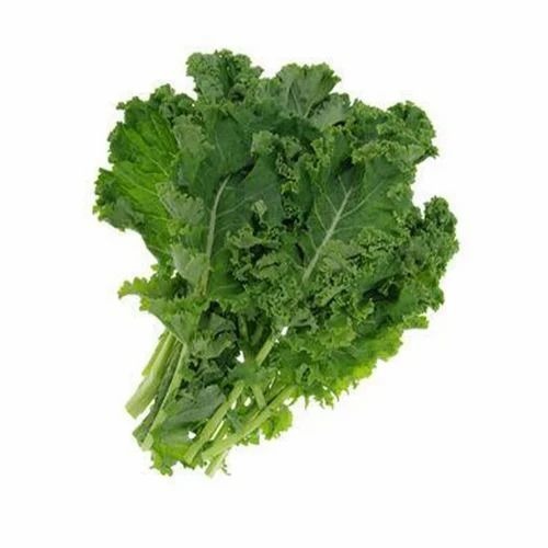 Fresh Green Kale - A Grade, Green Leafy Vegetable with 3.5 g Protein, 1.0 mg Iron, 177 mg Calcium, 2 Week Shelf Life | Chopped, Common Shape, Cooked Style