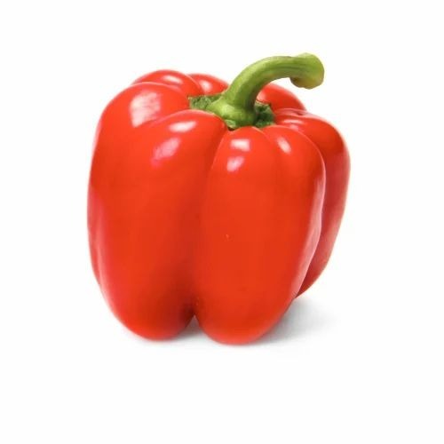 Fresh Red Capsicum - Chopped, A Grade, Red, 2 Week Shelf Life | Exotic Vegetable, Cooked Style, Botanical Name: Capsicum Annuum