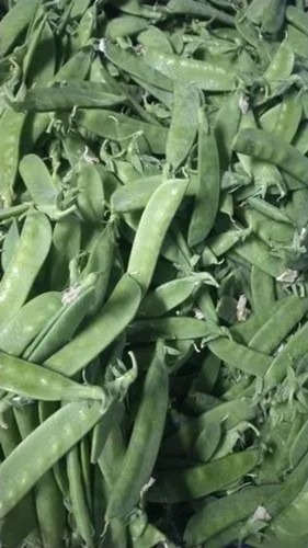 ताजा स्नो मटर