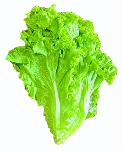 Green Leafy - Chopped A Grade Green Leaves | Pesticide Free, Common Shape, Cooked Style, 5 Kg Plastic Bag or Polythene Packaging