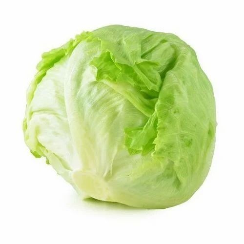 Iceberg Lettuce - B Grade, 50 Kg & 20 Kg Carton Sizes | Chopped, Common Shape, Cooked Style
