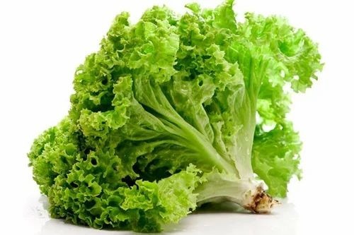 Lolla Rossa Green Lettuce - Carton Packaging, 20 Kg/30 Kg/50 Kg, B Grade/A Grade, Chopped, Common Shape, Cooked Style
