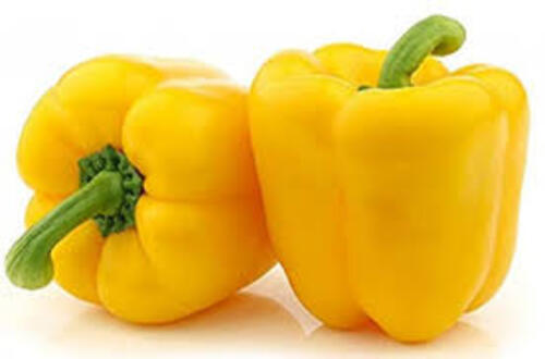 Yellow Capsicum - 25 Kg Carton, Fresh Yellow Color - Chopped Form, Common Shape, Cooked Style