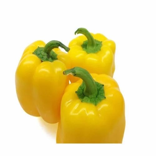 Yellow Capsicum