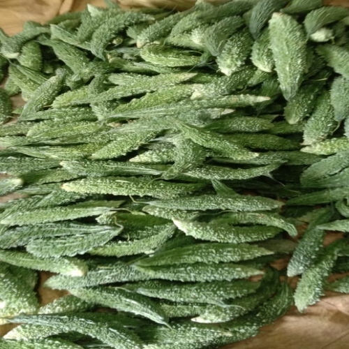 Bitter Gourd - Raw Long Seasoned | Rich in Vitamins C & A, Boosts Immune System, Aids Digestion, Supports Healthy Blood Sugar, Promotes Weight Loss
