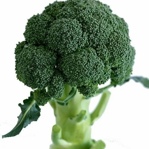 Fresh Broccoli - Organic A Grade, 5 Kg Gunny Bag | Chopped, Common Shape, Cooked Style