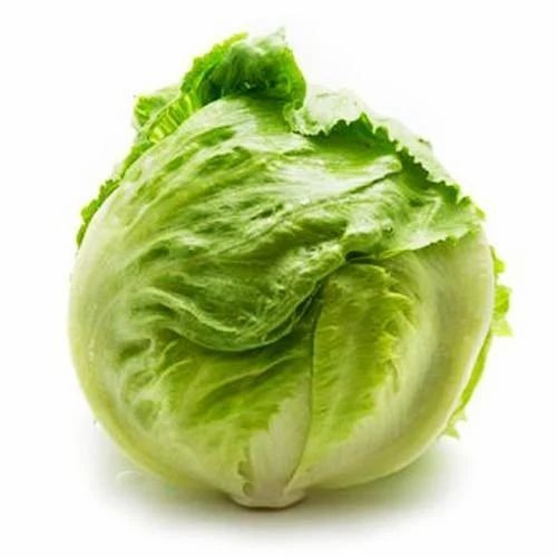 Organic Fresh Lettuce Iceberg - 5 Kg Gunny Bag , A Grade Quality, Chopped and Cooked Style
