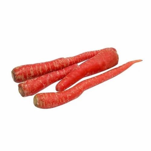 Fresh Red Carrot - A Grade, Loose Packaging, Red Color | Chopped, Common Shape, Cooked Style, Ideal Storage in Cool and Dry Place