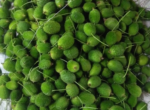 Fresh Spiny Gourd - Raw Oval Moisture 84% | Boosts Immune Function Naturally Supports Digestive Health High in Antioxidants Easy to Cook