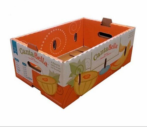 Fruit Packaging Boxes - 10 Kg Capacity, Single Wall 3 Ply Kraft Paper, Rectangular Shape, Multi-Color Design | Ideal for Fruit Packaging