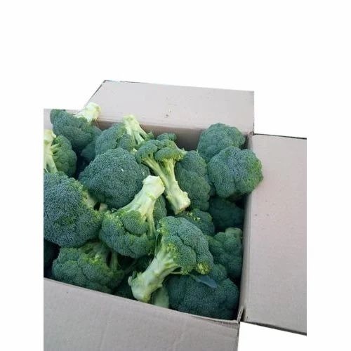 Green Broccoli - Organic A Grade, 5 Kg Gunny Bag | Fresh Chopped, Common Shape, Cooked Style