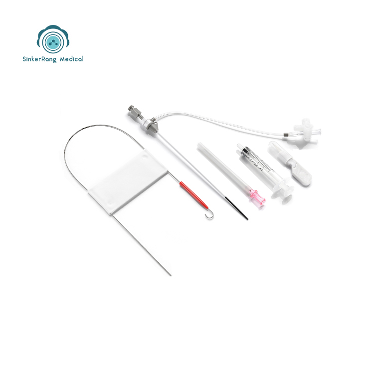 Introducer Sheath