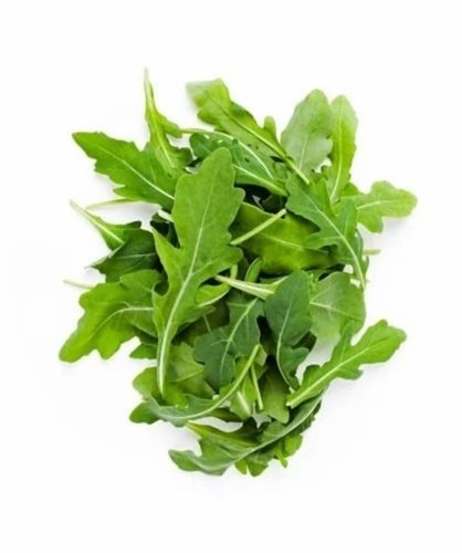 Lettuce Arugula - Chopped Green Lettuce in Carton | Common Shape, Cooked Style, Freshly Processed, Ideal for Various Culinary Uses