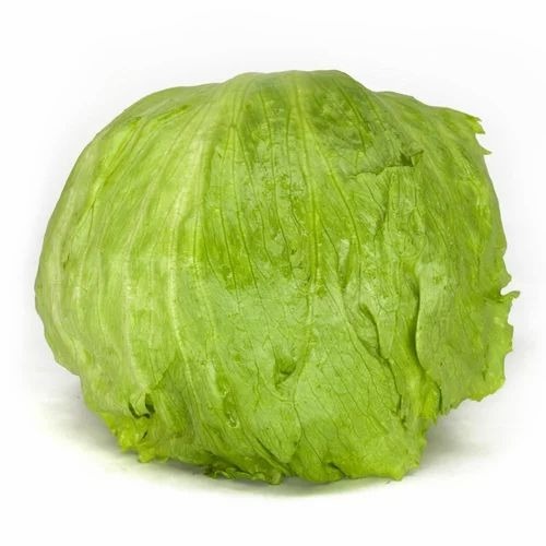 Lettuce Iceberg - Organic A Grade 5 Kg Gunny Bag Packaging | Chopped Style Common Shape Cooked Preparation