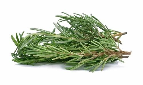 Lettuce Rosemary - 5 Kg A Grade Green Leaves, Carton Packaging for Freshness