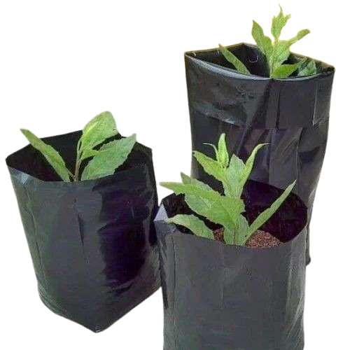 Nursery Bags - HDPE Material, 11x10 Inch Size, Black Color | Multicolor Feature for Versatile Gardening Applications