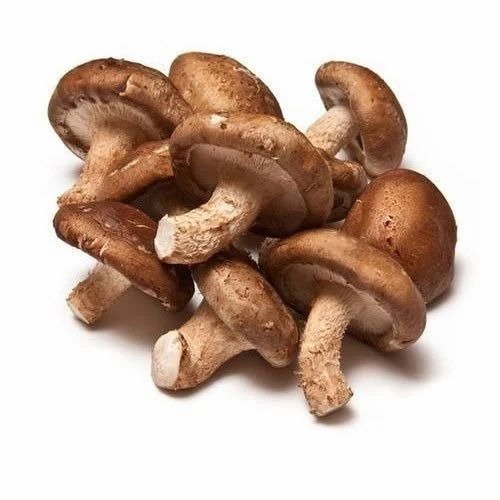 Shiitake Mushroom - 500g A Grade Fresh Plastic Bag | Brown Color, Common Cultivation, Premium Quality