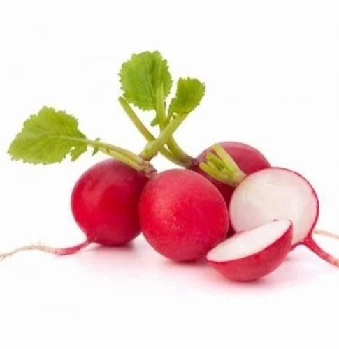 Table Radish - 5 Kg A Grade Carton Packaged | Chopped, Common Shape, Cooked Style