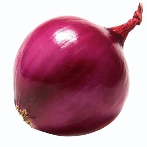 Red Onion - 10 Kg, Large Size A Grade Organic, 2 Month Shelf Life, Cold Storage