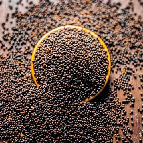 Black Mustard Seeds - Natural, 5 Kg, Loose, Dried, 95% Purity, 5% Moisture, 6 Months Shelf Life | Grade A, Store in Cool and Dry Place
