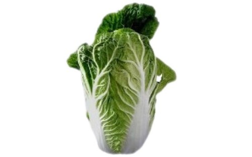 Chinese Cabbage