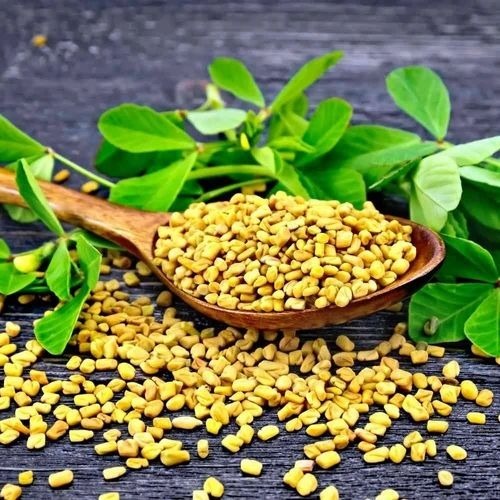 Fenugreek Seeds - 5 Kg Pack, Yellow Color, 95% Purity, 6 Months Shelf Life, Stored in Gunny Bag, Moisture Content: 5%, Cool & Dry Storage