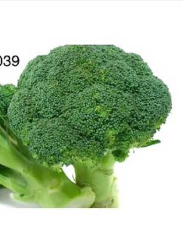 Fresh Broccoli Vegetable