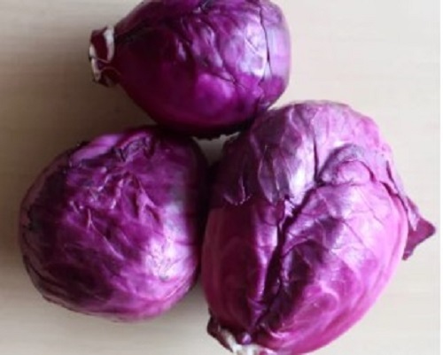 Red Cabbage