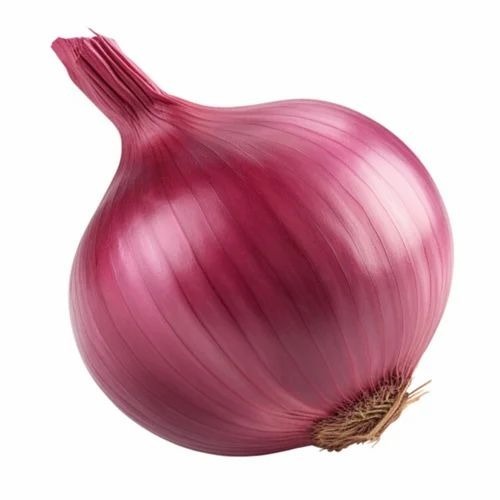 Red Onion Nashik - 10 Kg Medium Red Onion, A Grade, Chopped, Common Shape, Cooked Style, Shelf Life 2 Months, Gunny Bag Packaging