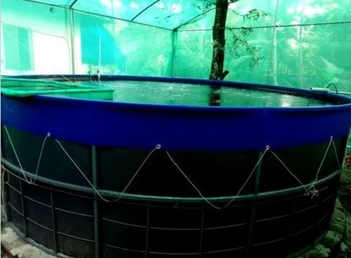 Black and Blue Biofloc Fish Farming Tank