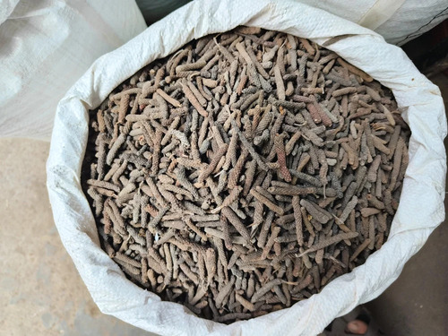 Long Pepper