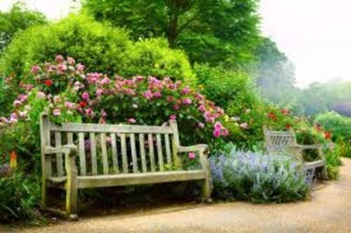 Outdoor Garden Bench - Color: Green