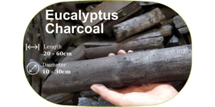 Eucalyptus Charcoal - Material: Soft Wood