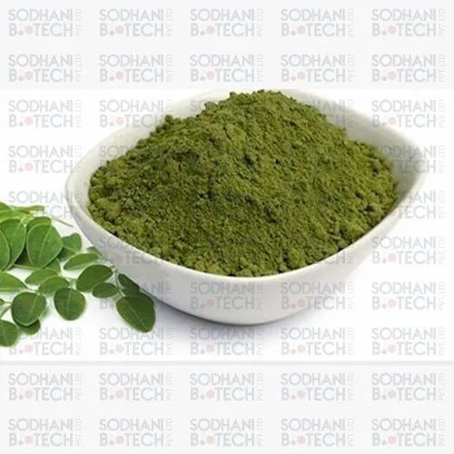 Indigo Leaves Powder - 5 Kg Natural Dye in Cardboard Box | 99% Purity, Cool Dry Storage, Ideal for Hair Dying