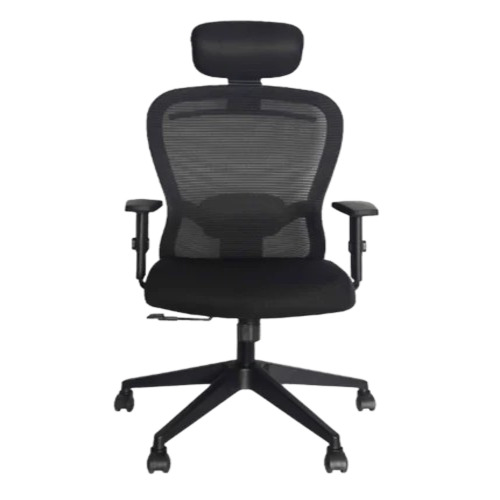 Mesh Office Chair - High Back, Adjustable Arms, 18-19 Inches Seating Height | Black Stainless Steel Frame, Attractive Multicolor Design