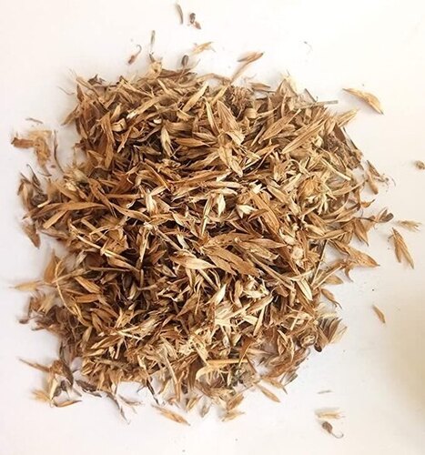 Dried Stylo Hamata Seeds - Color: Gree